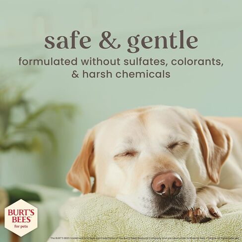 Burt’s Bees for Pet Pets Romodorizing Shampoo مع عسل Manuka والفحم للكلاب - المكونات المشتقة بشكل طبيعي ، 16 أوقية in Kuwait
