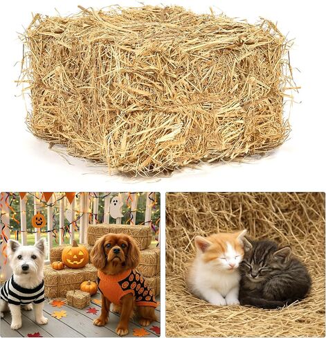 Natural Wheat Straw Bale – 5LB Clean & Soft Dry Straw, Warm Bedding for Winter Cat Shelters, Stray Dogs & Outdoor Pet Warmth, Decorative Hay Bale for Thanksgiving, Halloween and Western Cowboy Party in Kuwait