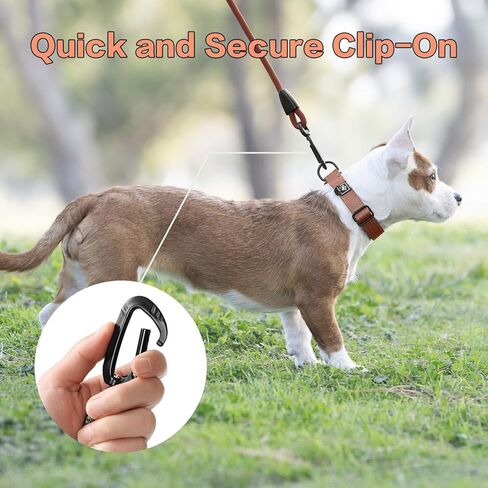 CLEPAWS Rope Dog Leash 6 FT, 2-in-1 Heavy Duty Dog Leash with Seat Belt Buckle, Tangle Free 360° Swivel Aviation Aluminum Carabiner, All Metal Hardware, Alloy O-Ring (Nightfall) in Saudi Arabia
