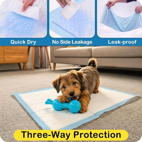 Momoco 50 Count Puppy Pads ، 22 "× 22" منصات تبول الكلاب مع حماية مقاومة للتسرب من 6 طبقات ، وسادات تدريب سريعة التخلص منها ، وسادات الحيوانات الأليفة الفائقة الفائقة in Kuwait