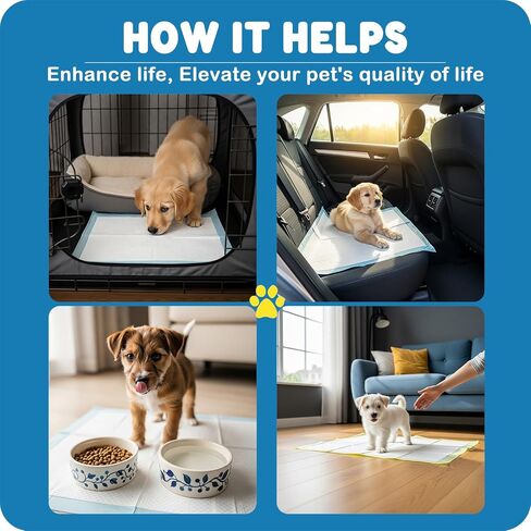 Momoco 50 Count Puppy Pads ، 22 "× 22" منصات تبول الكلاب مع حماية مقاومة للتسرب من 6 طبقات ، وسادات تدريب سريعة التخلص منها ، وسادات الحيوانات الأليفة الفائقة الفائقة in Kuwait
