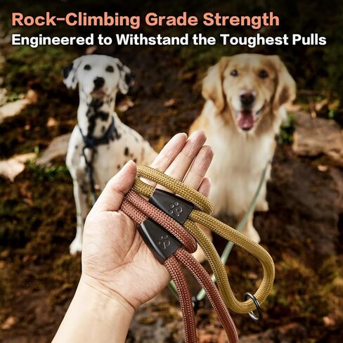 clepaws rop rop dog neash 4 ft ، 2-in-1 مقود الكلب الشاق مع مشبك حزام الأمان ، تشابك 360 درجة من الألومنيوم carabiner ، جميع الأجهزة المعدنية ، سبيكة o (دائمة الخضرة) in Saudi Arabia