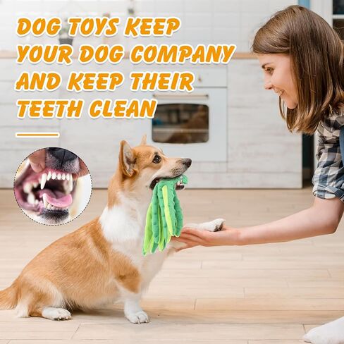 2 PCS Octopus Dog Toys ، لا حشو ألعاب الكلب الصاخبة مضغ ألعاب للكلاب جرو لعبة الكلب غير قابلة للتدمير للكلاب الصغيرة والمتوسطة والكبيرة (الأزرق ، الأرجواني) in Kuwait