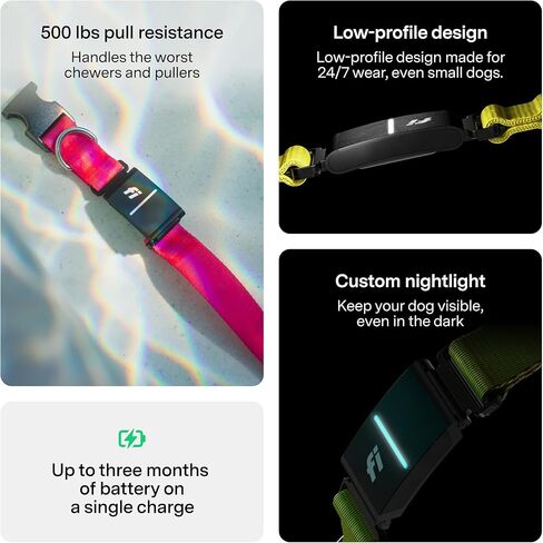 Fi Series 3+ Smart Dog Tracker Collar – 6 Month Membership Included in Kuwait