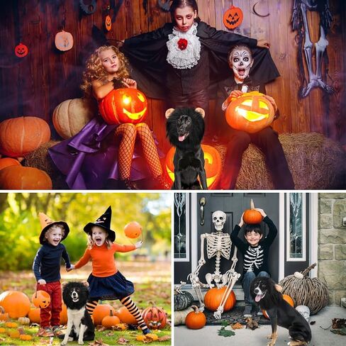 Vivifying Dog Lion Costume, Adjustable Pet Halloween Costumes Lion Mane Wig with Tail for Medium and Large Dog Dress up (Brown) in Kuwait
