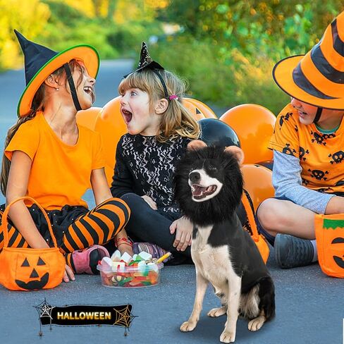 Vivifying Dog Lion Costume, Adjustable Pet Halloween Costumes Lion Mane Wig with Tail for Medium and Large Dog Dress up (Brown) in Kuwait
