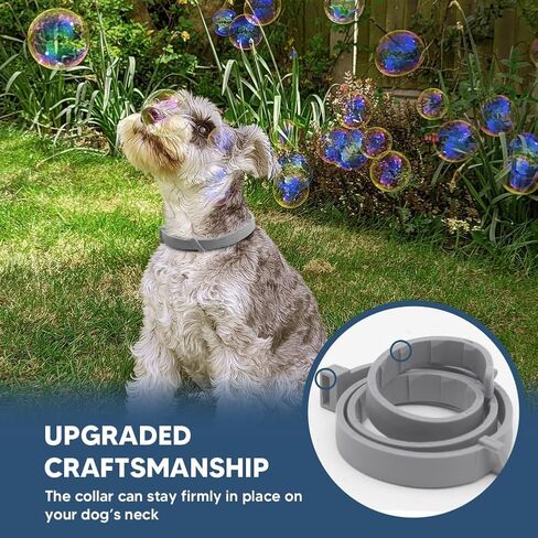Collar for Cats, Collar Adjustable for Cat, Pack of 1 in Saudi Arabia