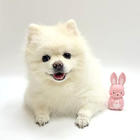 Rubber Squeaky Dog Toys, Latex Dog Squeaky Toys, Easter Bunny Dog Toy, Gentle Bunny, Small in Kuwait