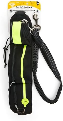 EveryYay Settin' The Pace Running Belt & Leash Set for Dogs Teal 34-in Long 1.5-in Wide in Kuwait