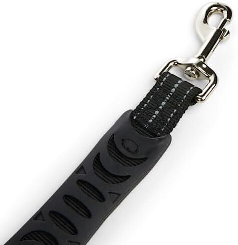 EveryYay Settin' The Pace Running Belt & Leash Set for Dogs Teal 34-in Long 1.5-in Wide in Kuwait