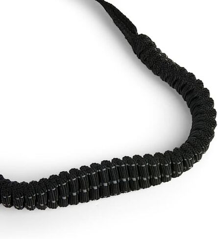 EveryYay Settin' The Pace Running Belt & Leash Set for Dogs Teal 34-in Long 1.5-in Wide in Kuwait