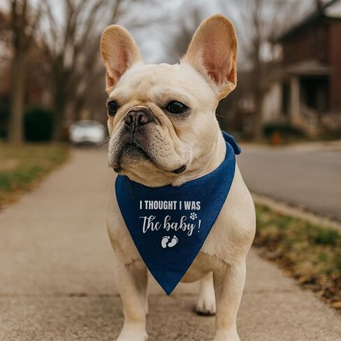Big Brother to My Little Human Dog Bandana, Pet Dog Triangle Scarf, Adjustable Comfortable Triangle Dogs Scarf, Baby Announcement Photo Props, Blue Denim Pet Kerchief for Small Medium Dogs in Kuwait