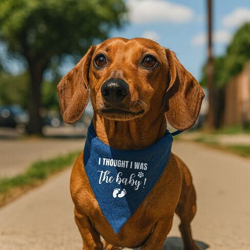 Big Brother to My Little Human Dog Bandana, Pet Dog Triangle Scarf, Adjustable Comfortable Triangle Dogs Scarf, Baby Announcement Photo Props, Blue Denim Pet Kerchief for Small Medium Dogs in Kuwait