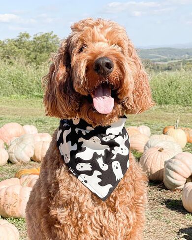 Halloween Dog Bandanas 2 Pack, Ghost Vampire Tooth Black and White Print, Reversible Triangle Pet Scarf, Premium Durable Fabric, Adjustable Fit in Saudi Arabia