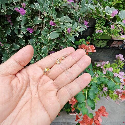 Peacock Green Rondelle Glass Beads for Jewelry Making, Faceted Briolette Crytal Spacer Beads for Bracelet Necklace Earring (2mm 4mm 6mm 8mm 10mm Mixed Sizes, 1000pcs) in Kuwait