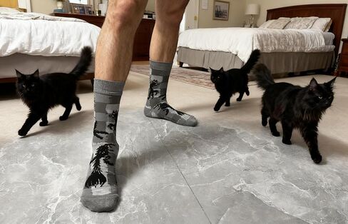 ANTI BASIC Novelty Socks Gift for Men Game Corgi World Cup Soccer Beer Fox Snake Break a Leg Socks … in Kuwait