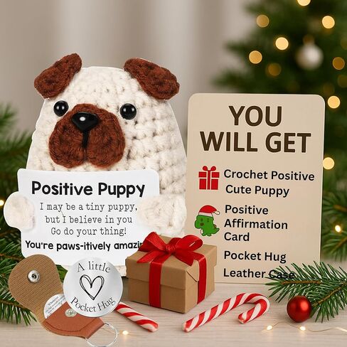 دجاج كروشيه إيجابي مصغرة مع عناق الجيب ، والدعم العاطفي لطيف الرسائل التحفيزية للكروشيه ، والكروشيه الإيجابية ، هدية عيد ميلاد للنساء ، ومخلل الدعم العاطفي ، والحيوان المحشوة بالدجاج in Kuwait