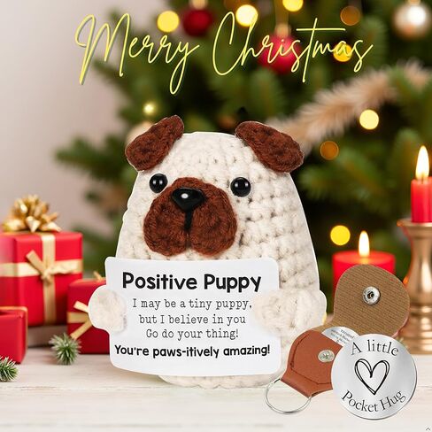 دجاج كروشيه إيجابي مصغرة مع عناق الجيب ، والدعم العاطفي لطيف الرسائل التحفيزية للكروشيه ، والكروشيه الإيجابية ، هدية عيد ميلاد للنساء ، ومخلل الدعم العاطفي ، والحيوان المحشوة بالدجاج in Kuwait