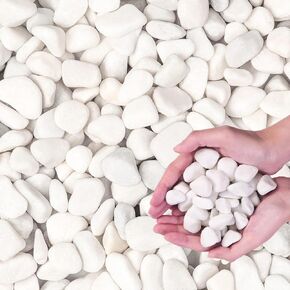 10lb White River Rock- Decorative Pebbles for Plants - River Rocks for Outdoor Landscaping- 0.3"-0.8" inch Polished Stones for Aquarium, Terrarium,Vases, Home Decor