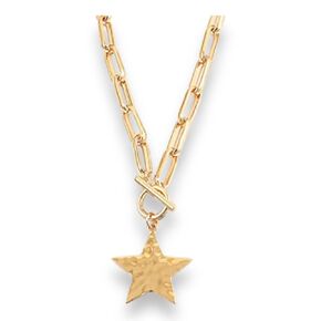 Heart Charm Chunky Toggle Necklace Gold (Heart)