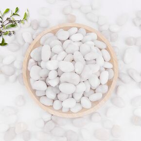 WHANLEY L&Q 2.8 رطل صخور نهرية بيضاء طبيعية (0.8 ~ 1.4 بوصة) صخور بيضاء للنباتات، أحجار زخرفية، صخور بيضاء للمناظر الطبيعية، حصى بيضاء، صخور حوض السمك، الحصى، صخور النهر، أحجار زخرفية... in Kuwait