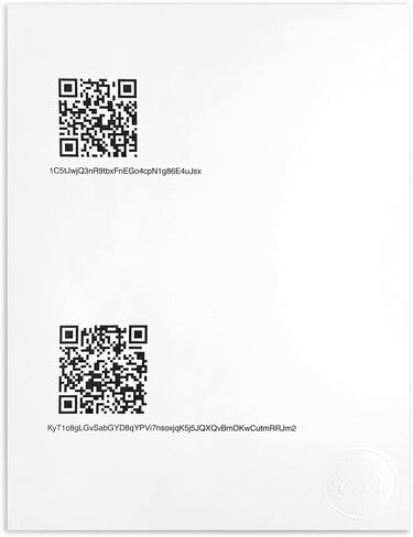 Sealed Paper Crypto Wallet | Cold Storage Paper Crypto Wallet (2 count) | 2 Identical Copies, Future-Proof, No Electronics, Exposed Public Key, Hidden Private Key (Bitcoin) in Saudi Arabia