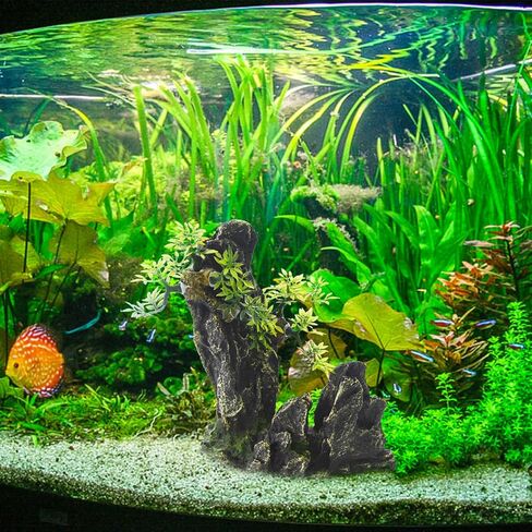 Saim Aquarium Mountain View Decor Rockery، Cichlid Stone Rock Betta Fish Hide حوض السمك زخرفة الصخور الاصطناعية خزان الأسماك الديكور لخزان الأسماك السلاحف الضفادع لعب الأسماك الصغيرة، لوازم حوض السمك in Kuwait