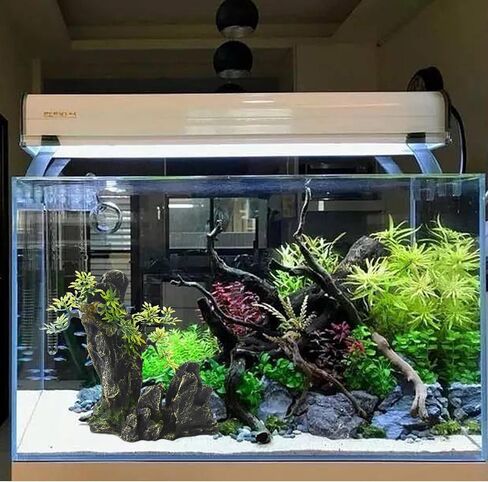 Saim Aquarium Mountain View Decor Rockery، Cichlid Stone Rock Betta Fish Hide حوض السمك زخرفة الصخور الاصطناعية خزان الأسماك الديكور لخزان الأسماك السلاحف الضفادع لعب الأسماك الصغيرة، لوازم حوض السمك in Kuwait