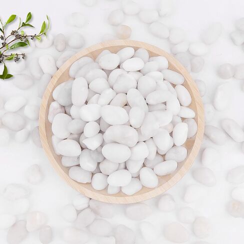 WHANLEY L&Q 2.8 رطل صخور نهرية بيضاء طبيعية (0.8 ~ 1.4 بوصة) صخور بيضاء للنباتات، أحجار زخرفية، صخور بيضاء للمناظر الطبيعية، حصى بيضاء، صخور حوض السمك، الحصى، صخور النهر، أحجار زخرفية... in Kuwait