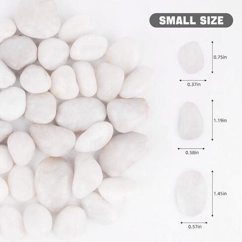 WHANLEY L&Q 2.8 رطل صخور نهرية بيضاء طبيعية (0.8 ~ 1.4 بوصة) صخور بيضاء للنباتات، أحجار زخرفية، صخور بيضاء للمناظر الطبيعية، حصى بيضاء، صخور حوض السمك، الحصى، صخور النهر، أحجار زخرفية... in Kuwait