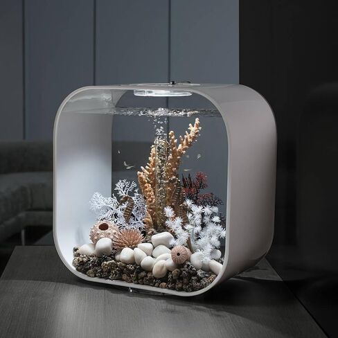 WHANLEY L&Q 2.8 رطل صخور نهرية بيضاء طبيعية (0.8 ~ 1.4 بوصة) صخور بيضاء للنباتات، أحجار زخرفية، صخور بيضاء للمناظر الطبيعية، حصى بيضاء، صخور حوض السمك، الحصى، صخور النهر، أحجار زخرفية... in Kuwait