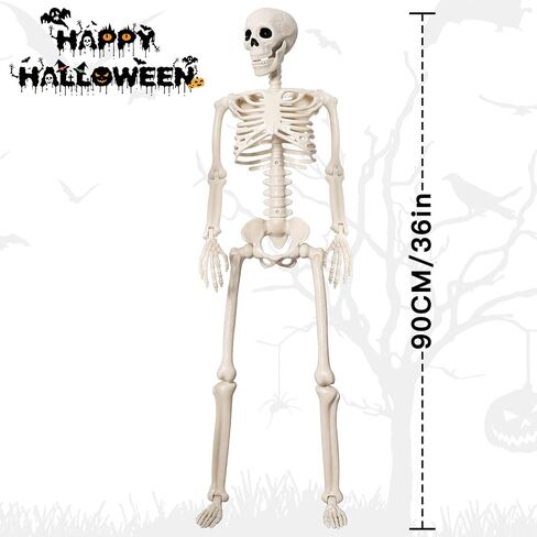 2 Pack 36" Halloween Skeleton Decorations, 3FT Realistic Full Body Movable Posable Joints Skeleton, Creepy Halloween Plastic Human Bones for Party Decor Lawn Haunted House Graveyard Props Outdoor in Kuwait