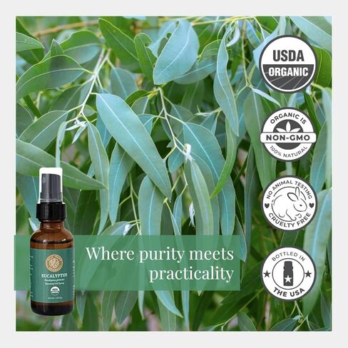 حرير الطريق العضوي الهيليتشريسوم مائلات الزيت العطري ، 100 ٪ نقية النقية العطرية المعتمدة لحيوية الجلد ومكافحة الشيخوخة - 1 أونصة رذاذ - دائما نقية ، عضوية دائما in Kuwait