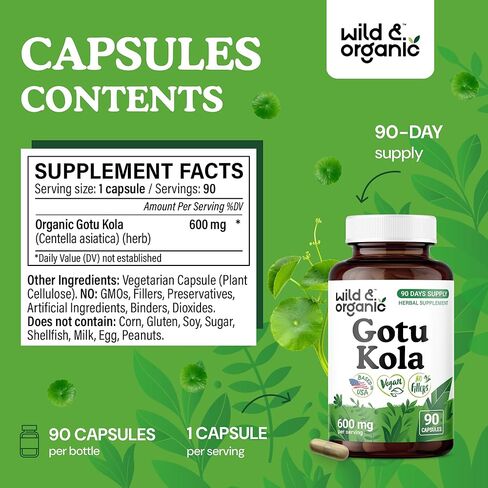 Wild & Organic Gotu Kola Capsules 600 mg - Brain & Focus Support - Gotu Kola Powder Supplement - Centella Asiatica Extract - 60 Days of Supply - Vegan, No Fillers, Non-GMO - 60 Count in Saudi Arabia