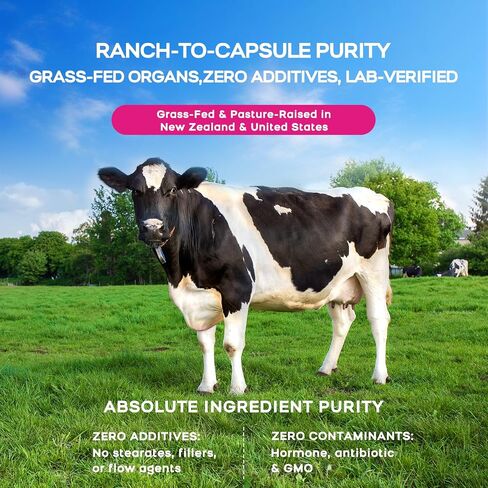 Beef Organ Supplement for Women(Beef Liver, Heart, & 3 More) - 100% Grass Fed, Pasture Raised Cattle, Primal & Ancestral Female-Optimized Supplements for Hormone & Energy Support - 120 Capsules in Kuwait
