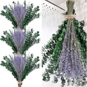 230 PCS DRIED EUCALYPTUS تنبع مع حزمة زهور الخزامى للاستحمام 17 '' NARTAL REAL HALING LIVE EUCALYPTUS LEACHS FRUMSES for Wedding Decor in Kuwait