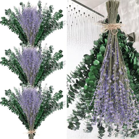 230 PCS DRIED EUCALYPTUS تنبع مع حزمة زهور الخزامى للاستحمام 17 '' NARTAL REAL HALING LIVE EUCALYPTUS LEACHS FRUMSES for Wedding Decor in Saudi Arabia