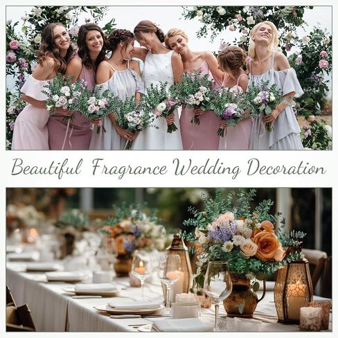 230 PCS DRIED EUCALYPTUS تنبع مع حزمة زهور الخزامى للاستحمام 17 '' NARTAL REAL HALING LIVE EUCALYPTUS LEACHS FRUMSES for Wedding Decor in Saudi Arabia