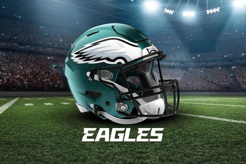NORTHWEST The Company NFL Philadelphia Eagles سجادة قابلة للغسل، 20 بوصة × 32 بوصة، منظر طبيعي، ألوان الفريق in Saudi Arabia