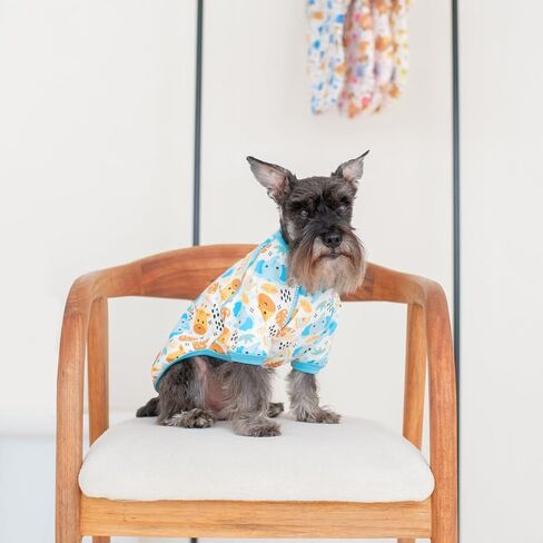 Pippo's Shop Puppy Sweater، معاطف قطنية للكلاب من بيرو لفصل الشتاء، ملابس للحيوانات الأليفة خفيفة الوزن قابلة للتمدد، قميص ناعم ناعم يسمح بالتهوية للكلاب، سترات للكلاب الصغيرة - أزياء (وردي، كبير) in Kuwait