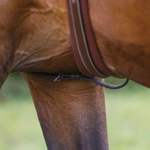 Pinnacle Standing Martingale | Size Full Size | Color Havana | Enhances Horse Riding Control | Supreme Durability for Stable Use in Saudi Arabia