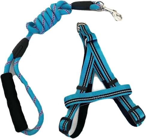 Durable, wear-Resistant, Cute, not Rotten, Thick, Shiny, Portable Outdoor, a Set of Dog Leash and Collar, Dog Specific Supplies (Blue Suitable for 10-20 pounds) in Saudi Arabia