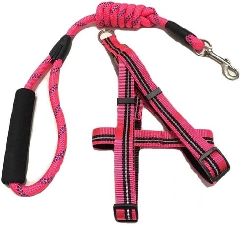 Durable, wear-Resistant, Cute, Non rotting, Thick, Glossy, Portable Outdoor, a Set of Dog Chains and Collars, Dog Specific Supplies (Rose red Suitable for 10-20 pounds) in Saudi Arabia