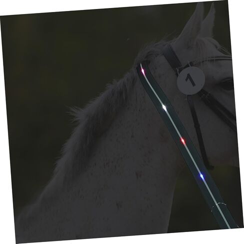 POPETPOP Flashing Horse Breastplate Waterproof LED Pulling Rope Sturdy Horse Accessory for Training and Riding Rechargeable and Luminous Design Random Style in Saudi Arabia