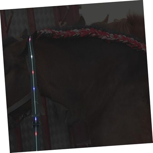 Pu Material Horse Riding Rope Led Equestrian Strap Long Battery Life Random Style in Saudi Arabia