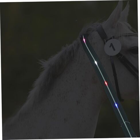 Pu Material Horse Riding Rope Led Equestrian Strap Long Battery Life Random Style in Saudi Arabia