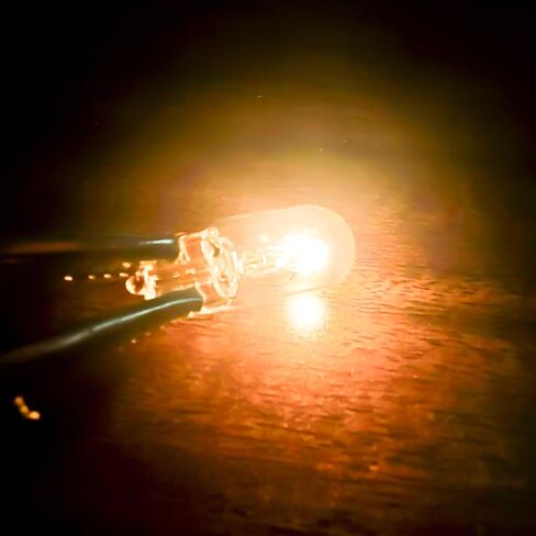 1156 P21w Light Bulbs,Automotive Brake Light Replacement for Cars,2700K Taillight Turn Signal Light,Stop and Tail Lights,12V 21W Ba15s,2 Pack in Kuwait