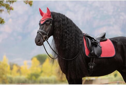 LeMieux Suede Dressage Square - English Saddle Pads for Horses - Equestrian Riding Equipment and Accessories in Saudi Arabia