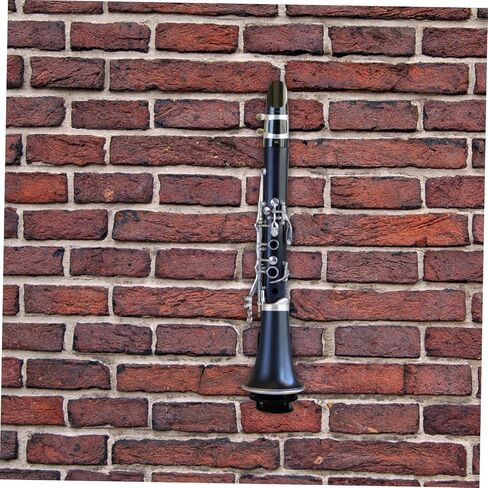 Wall-mounted Clarinet Stand and Flute Holder Dual-use Hanging Rack for Woodwind Instruments Adjustable Bracket Storage for Clarinet and Saxophone in Saudi Arabia