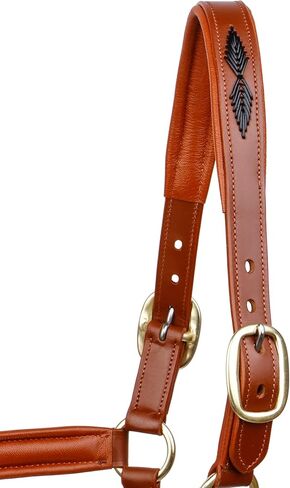 SIE English Horse Leather Braided Tan Black and Havana Halter in Kuwait